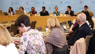 WTO, 중국 요청에 따라 인플레이션 감소법에 따른 미국 세액공제 검토